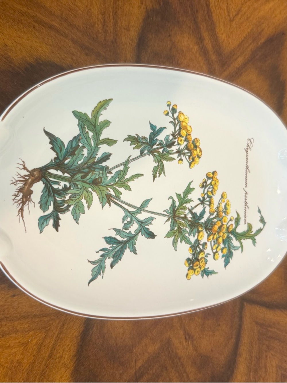 Villeroy And Boch Botanical 10” Porcelain Serving Dish - Picture 5 of 8